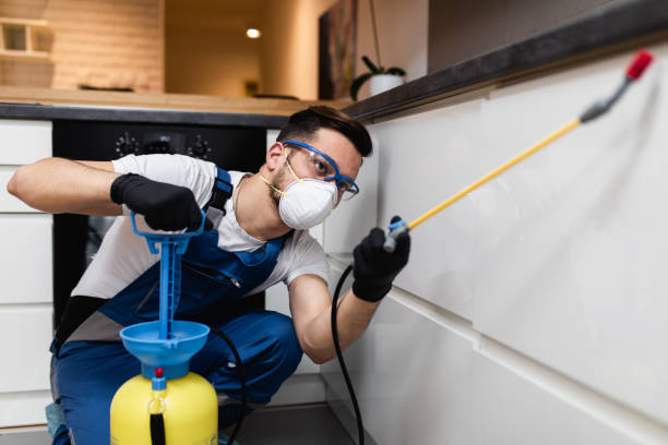 Best Exterminator Services  in Pass Christian, MS
