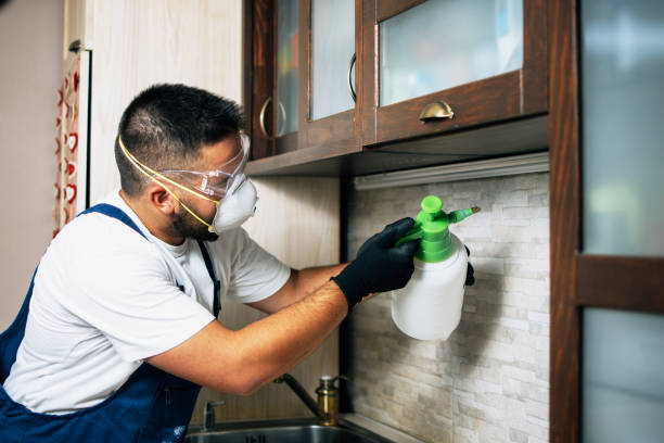 Professional Pest Control in Pass Christian, MS