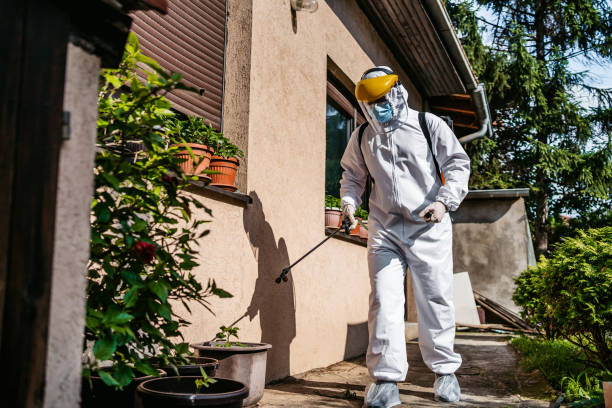Best Mosquito Control Services  in Pass Christian, MS