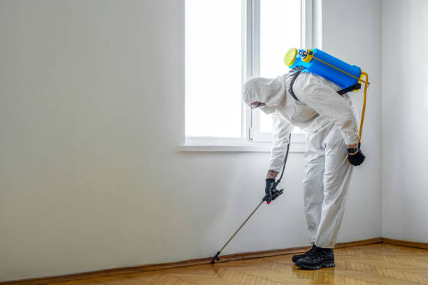 Best Residential Pest Control  in Pass Christian, MS