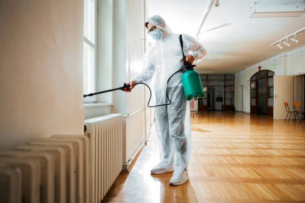 Best Pest Control Near Me in Pass Christian, MS
